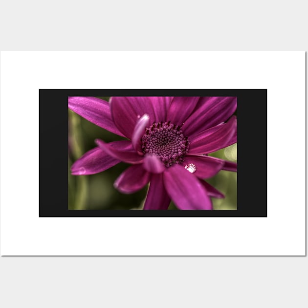 Senetti Water Droplet Wall Art by axp7884